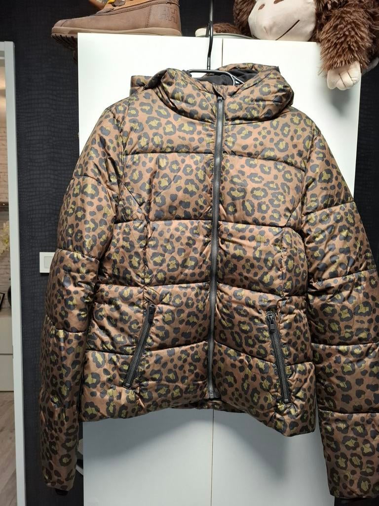 PANTERPRINT JAS NIEUW, Kleding | Dames, Jassen | Winter, Ophalen of Verzenden, Nieuw, Maat 38/40 (M), Bruin