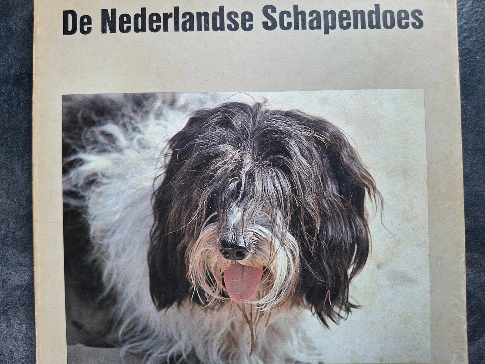 Schapendoes pup fokken rashond kynologie Peter Noordermeer, Gelezen, Honden, Ophalen of Verzenden, Peter Noordermeer