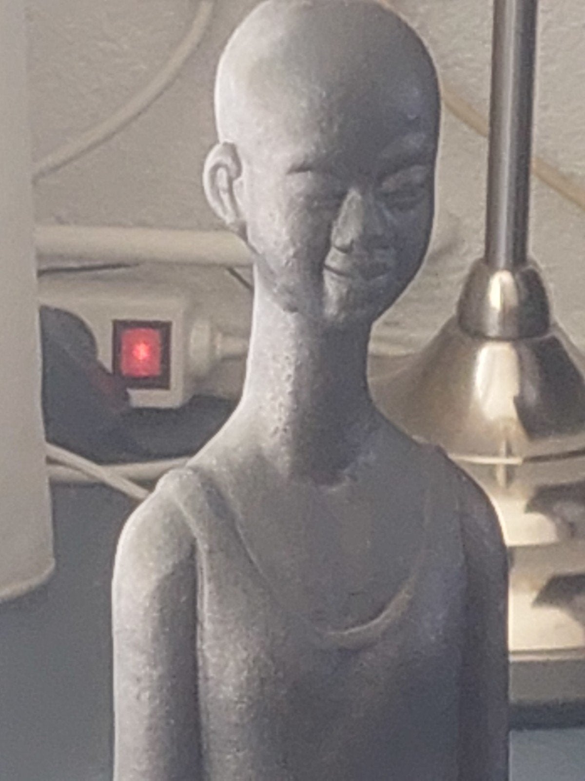 Lang Afrikaans beeld, Ophalen of Verzenden