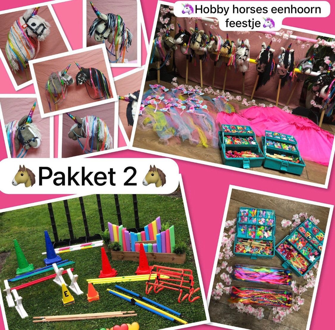 Eenhoornfeestje hobby horses eenhoorns stokpaardjes, Ophalen