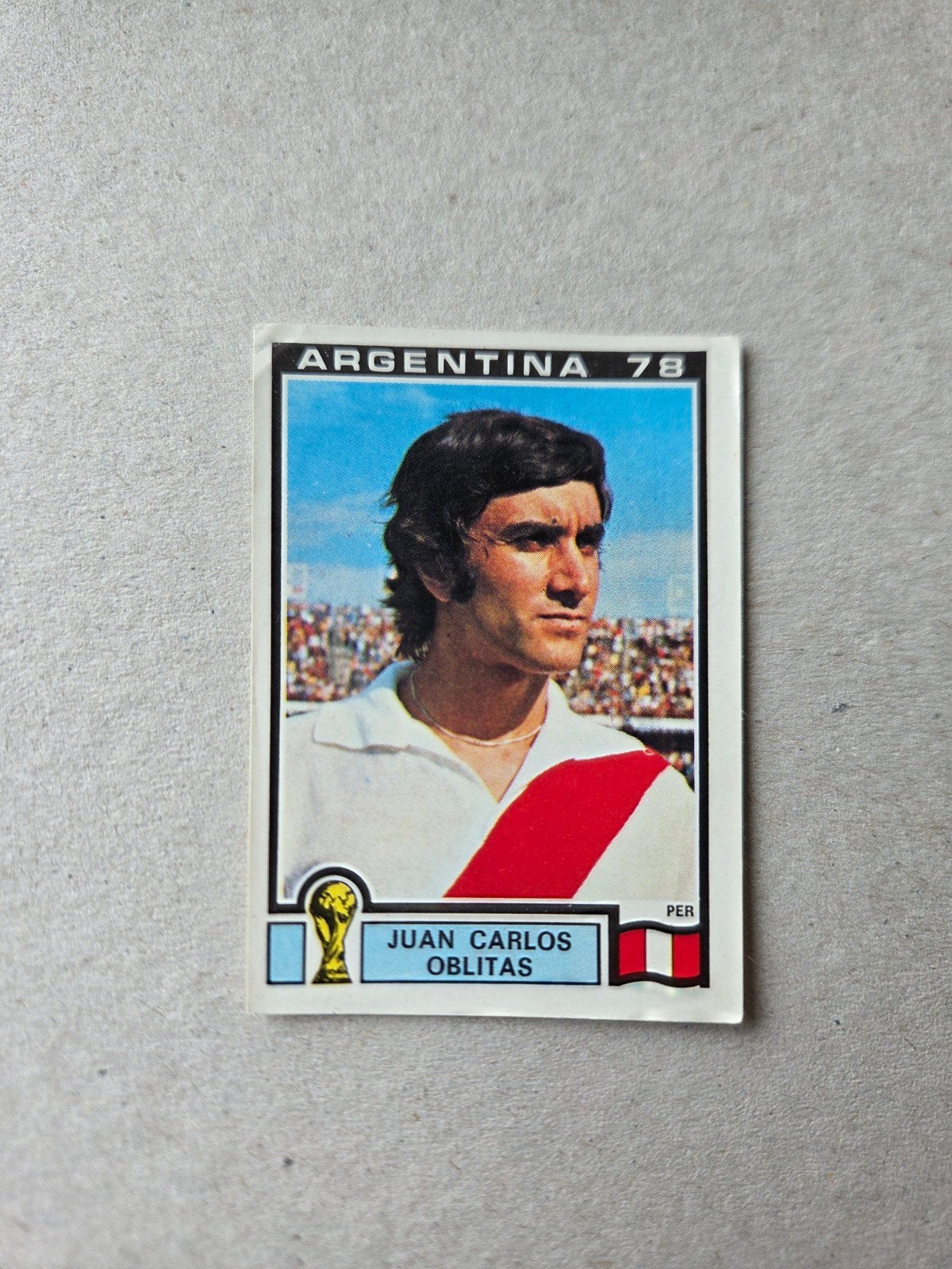 Panini WK 78, Ophalen of Verzenden, Zo goed als nieuw, Sticker