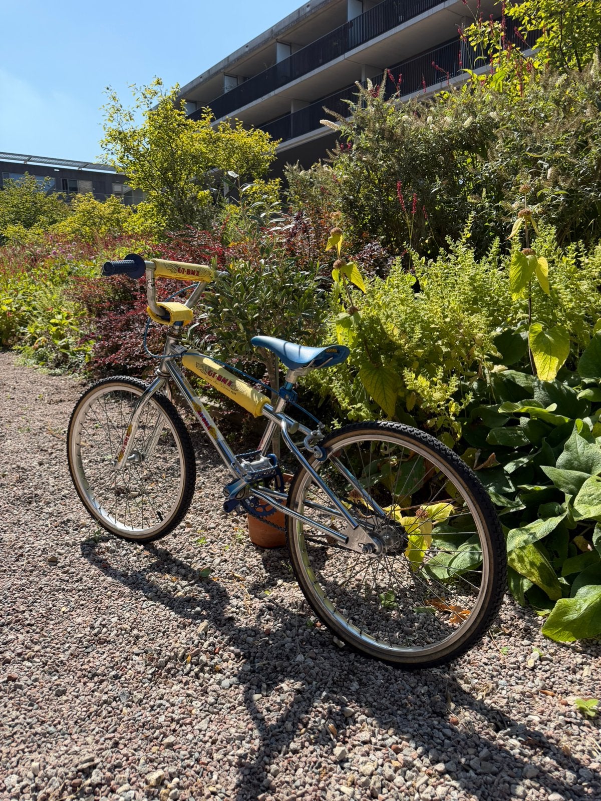 GT BMX Santa Ana California — 1984, 4130 Chromoly, Ophalen, Gebruikt, Velgrem, 20 tot 24 inch
