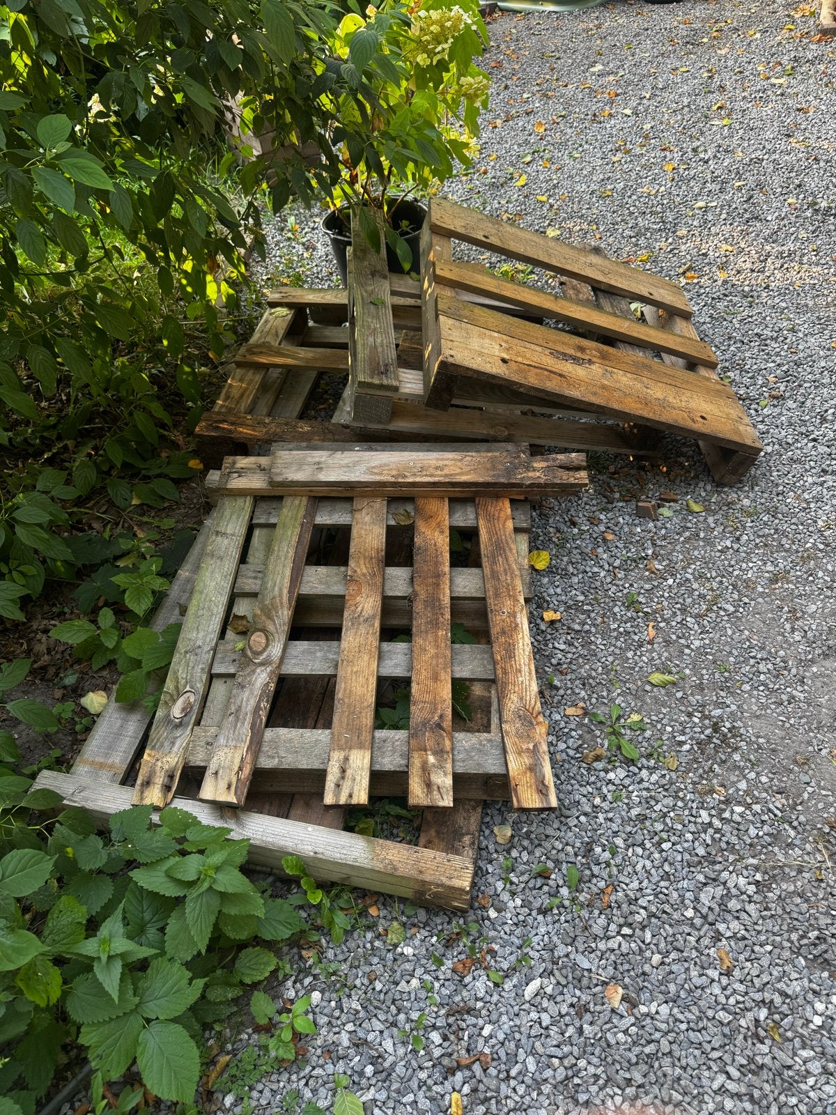 houten pallets voor diverse projecten of stookhout, Ophalen, Gebruikt, 50 mm of meer, Pallet