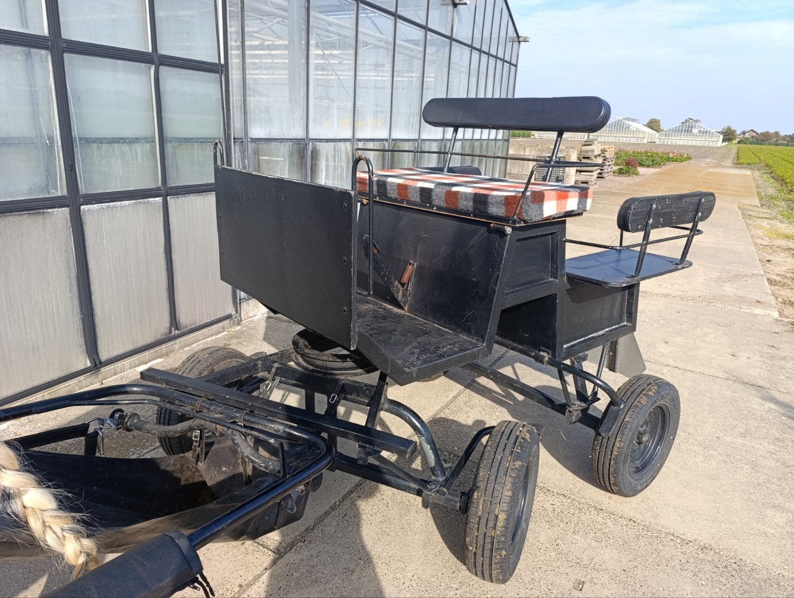menwagen cob/paard, Marathonwagen, Paard of Pony