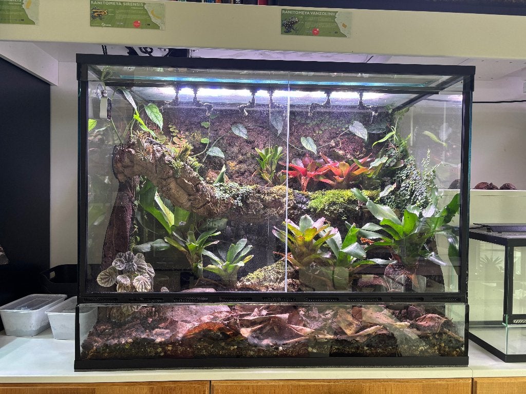 2 vivaria voor gifkikkers of gekko's 90x45x70 (LxBxH), Dieren en Toebehoren, Ophalen, Gebruikt, Terrarium of Paludarium