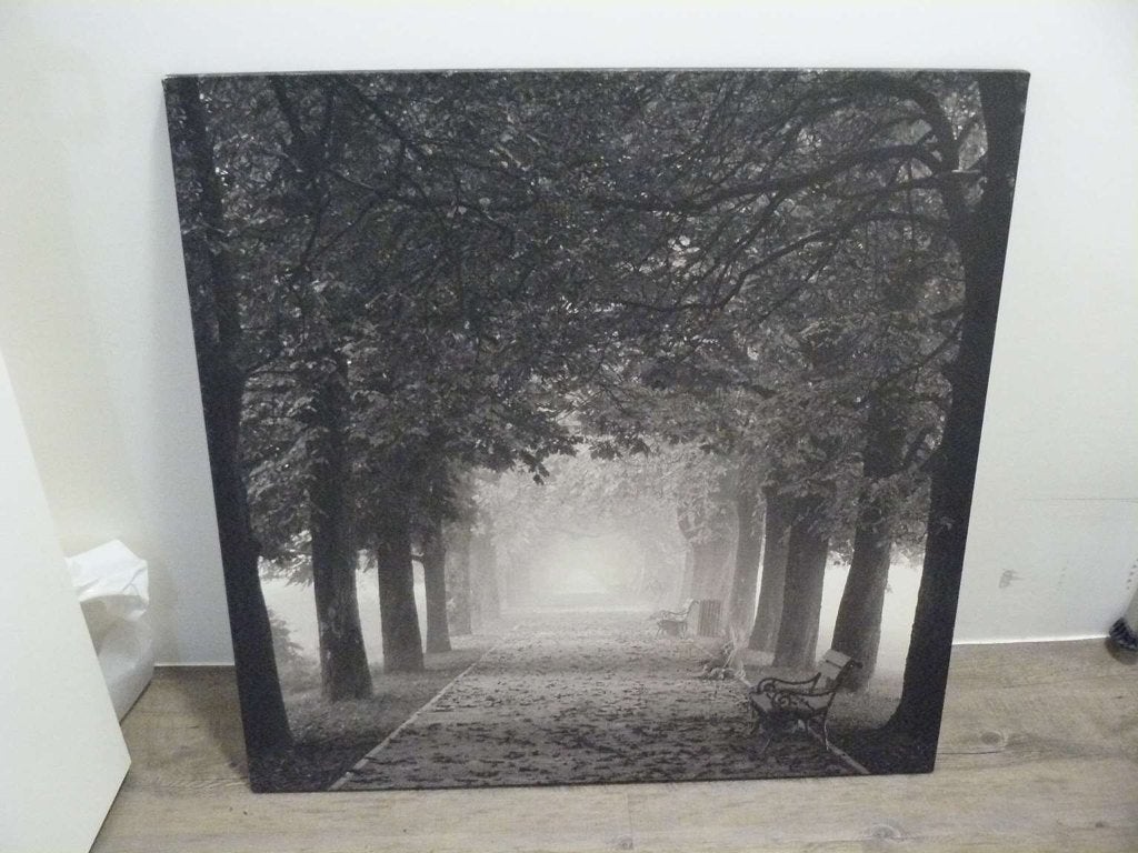 Ikea Pjätteryd foto schilderij Bosweg., Huis en Inrichting, Ophalen, Zo goed als nieuw, Schilderij, 100 tot 125 cm