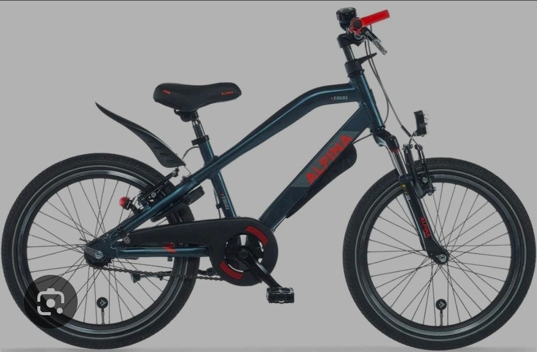 Mooie Alpina 20 inch kinderfiets, Ophalen, Zo goed als nieuw, 20 inch, Alpina