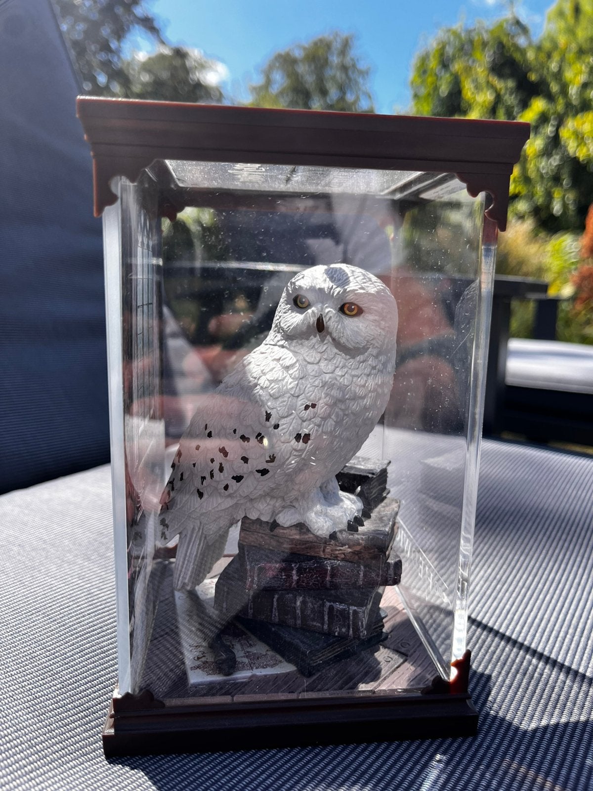 Harry Potter magical creatures Hedwig in vitrine, Ophalen, Zo goed als nieuw, Actiefiguurtje