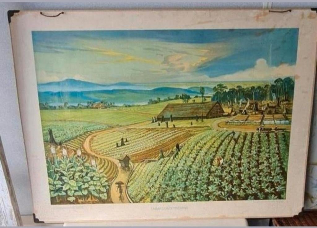 8 vintage schoolplaten op.a. Jetses/Koekoek/Wolters, Ophalen