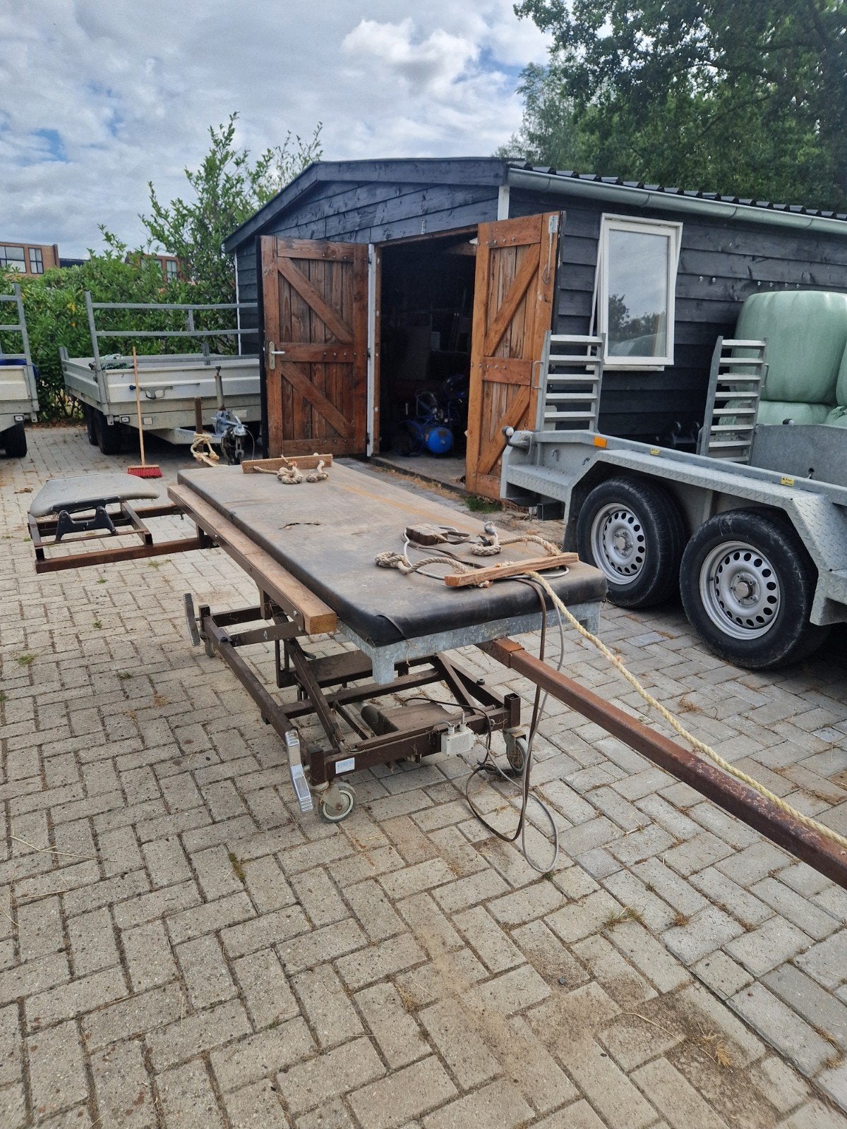 alpaca scheertafel, Mannelijk, Geit