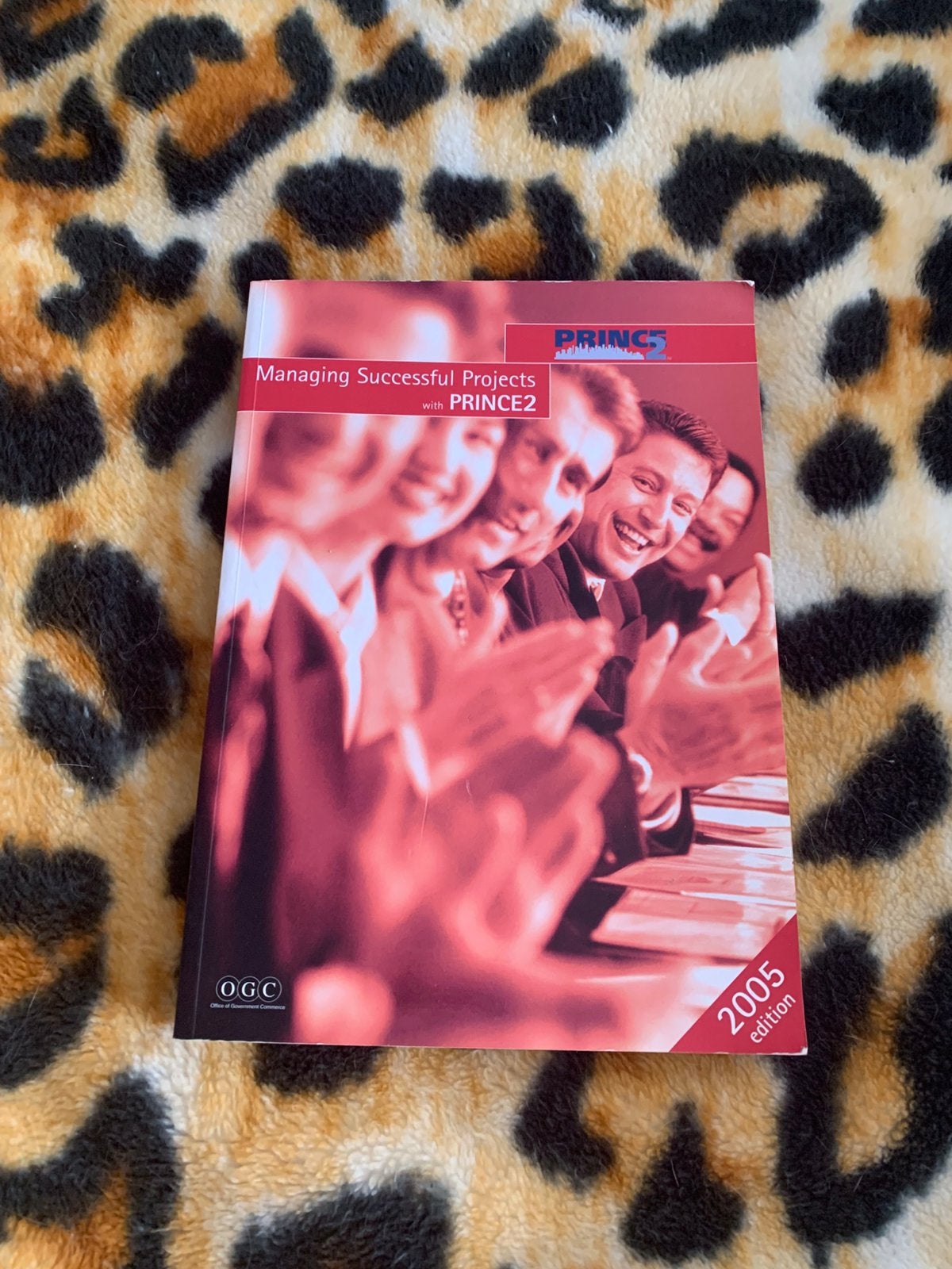 Managing succesful projects with PRINCE2(2005)edition, Ophalen of Verzenden, Beta, WO