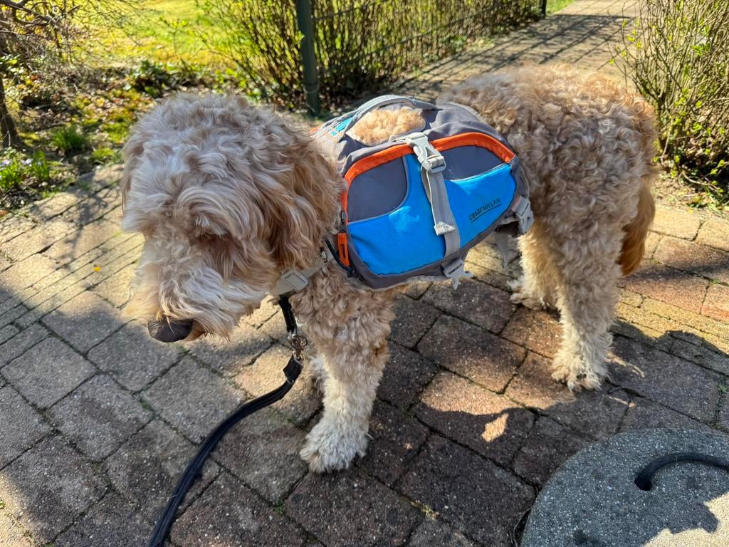 Z.g.a.n. Cesar Millan hondenrugzak, Dieren en Toebehoren, Ophalen of Verzenden, Zo goed als nieuw