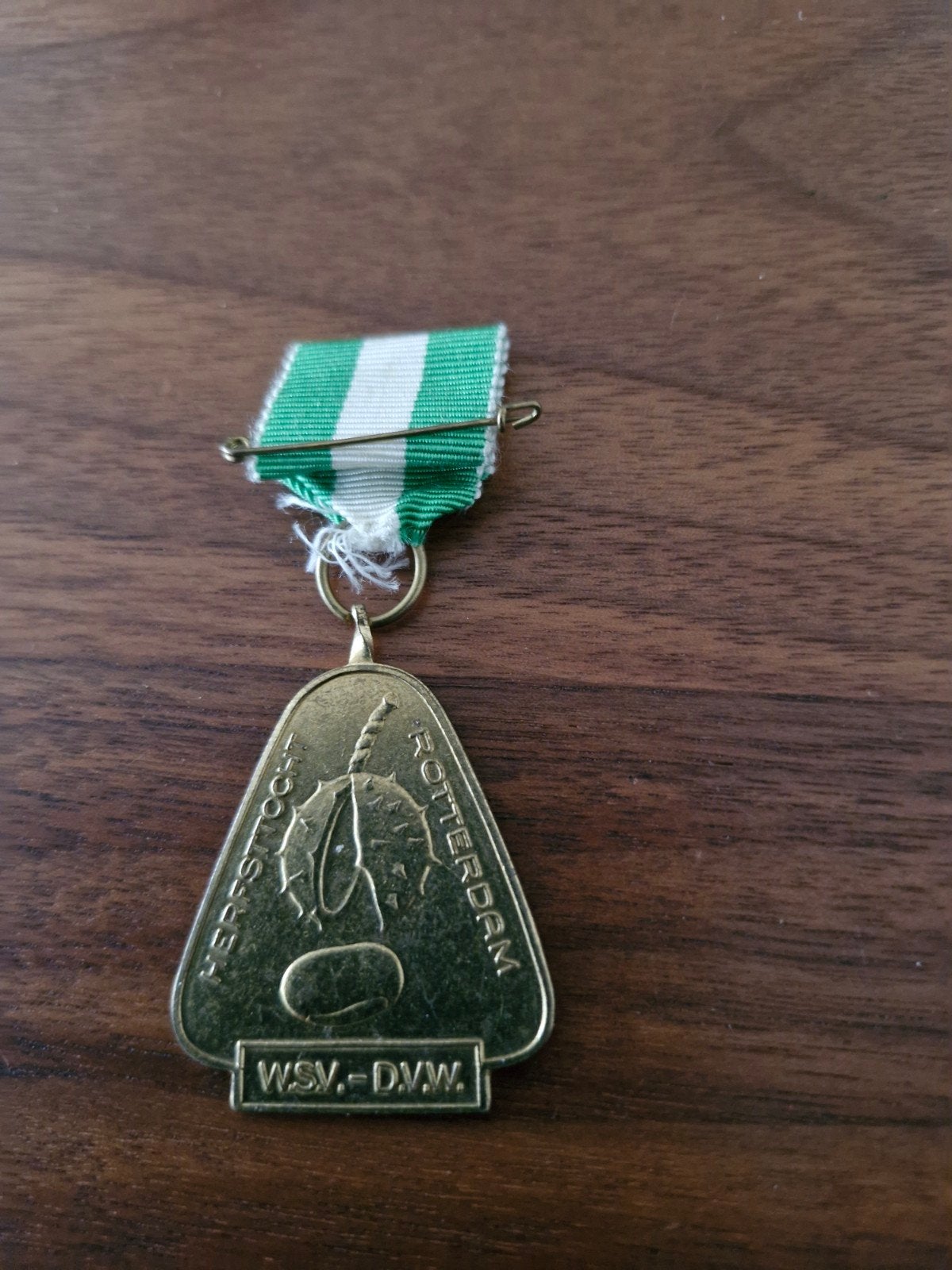 174 WSV-DMW Herfsttocht Rotterdam Medaille, Ophalen of Verzenden