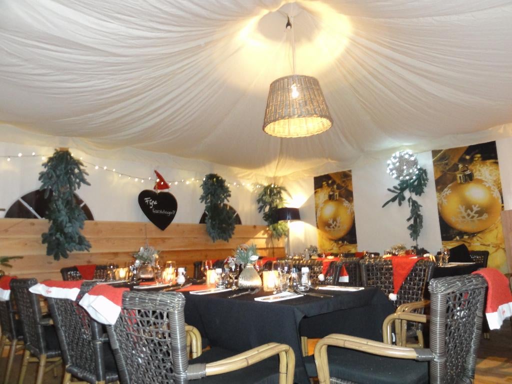 Binnenhemel voor pagode partytent 5x5 Trevira CS, Tuin en Terras, Partytenten, Ophalen, Opvouwbaar, Zo goed als nieuw, 4 tot 6 meter