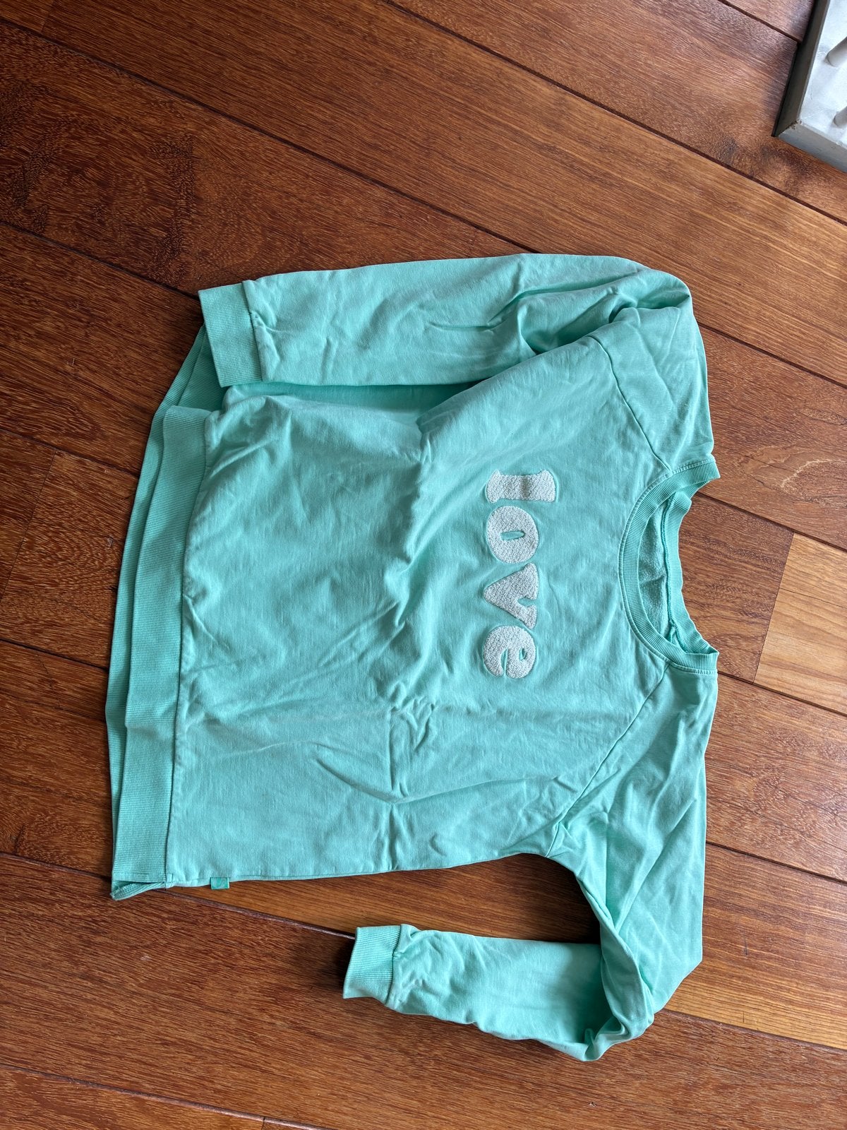 Danefae sweater XL - mintgroen tekst love, Ophalen of Verzenden, Gedragen, Maat 46/48 (XL) of groter, Groen
