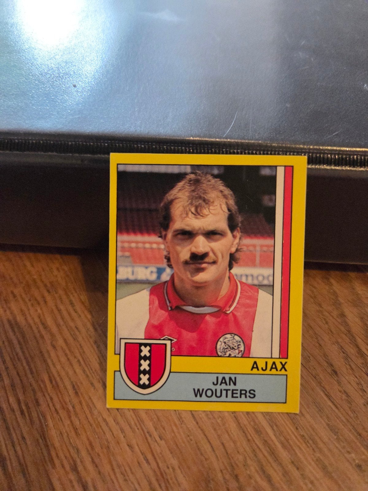 Panini Voetbal 90, Verzamelen, Sportartikelen en Voetbal, Ophalen of Verzenden, Zo goed als nieuw, Ajax, Poster, Plaatje of Sticker
