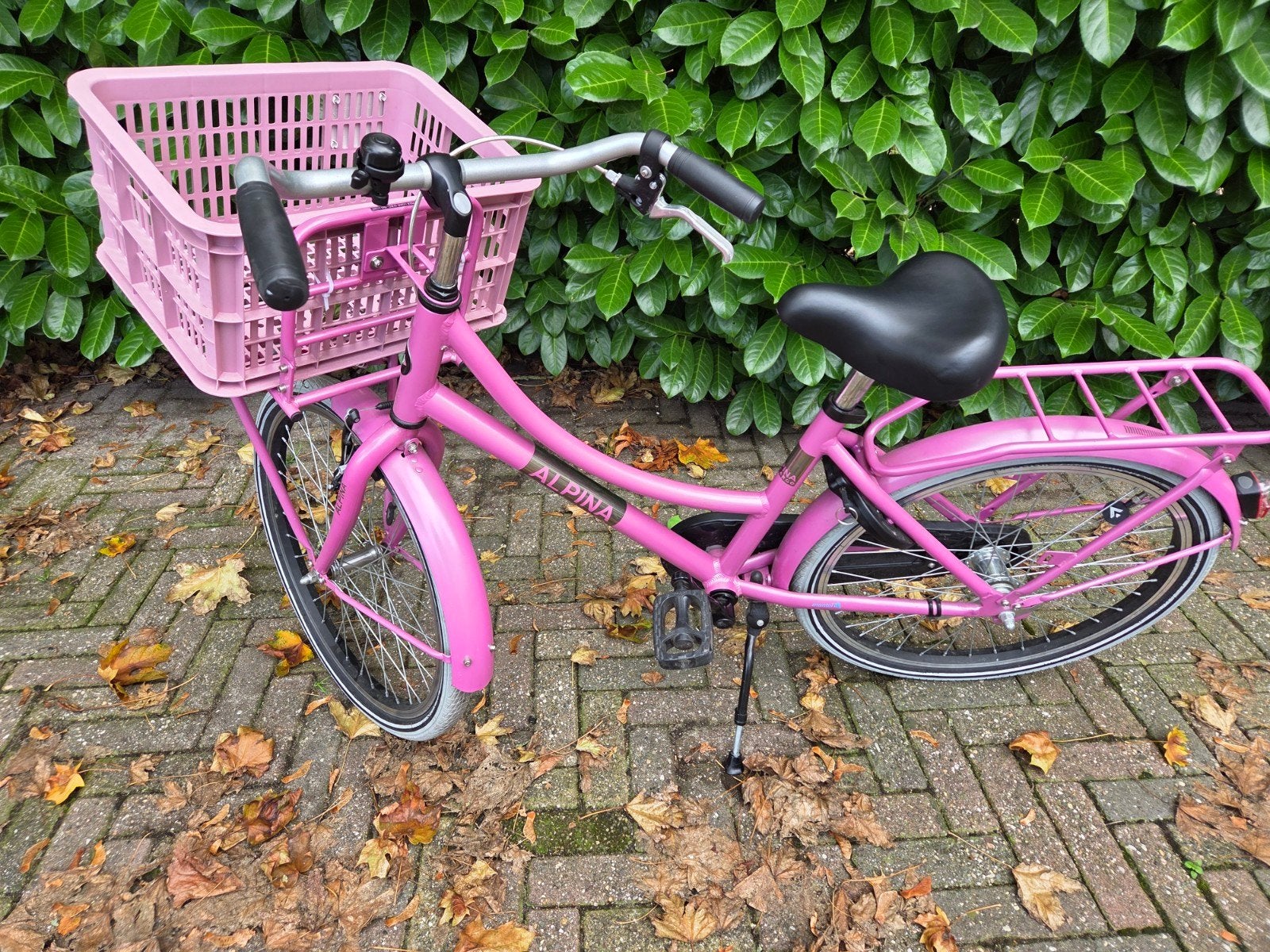 Alpina fiets 22 inch met kratje - Goede staat, Ophalen, Gebruikt, 20 inch of meer, Alpina
