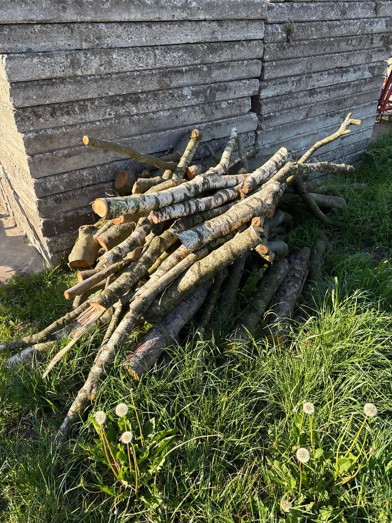 Stamhout te koop, Minder dan 3 m³, Ophalen, Overige houtsoorten, Takken
