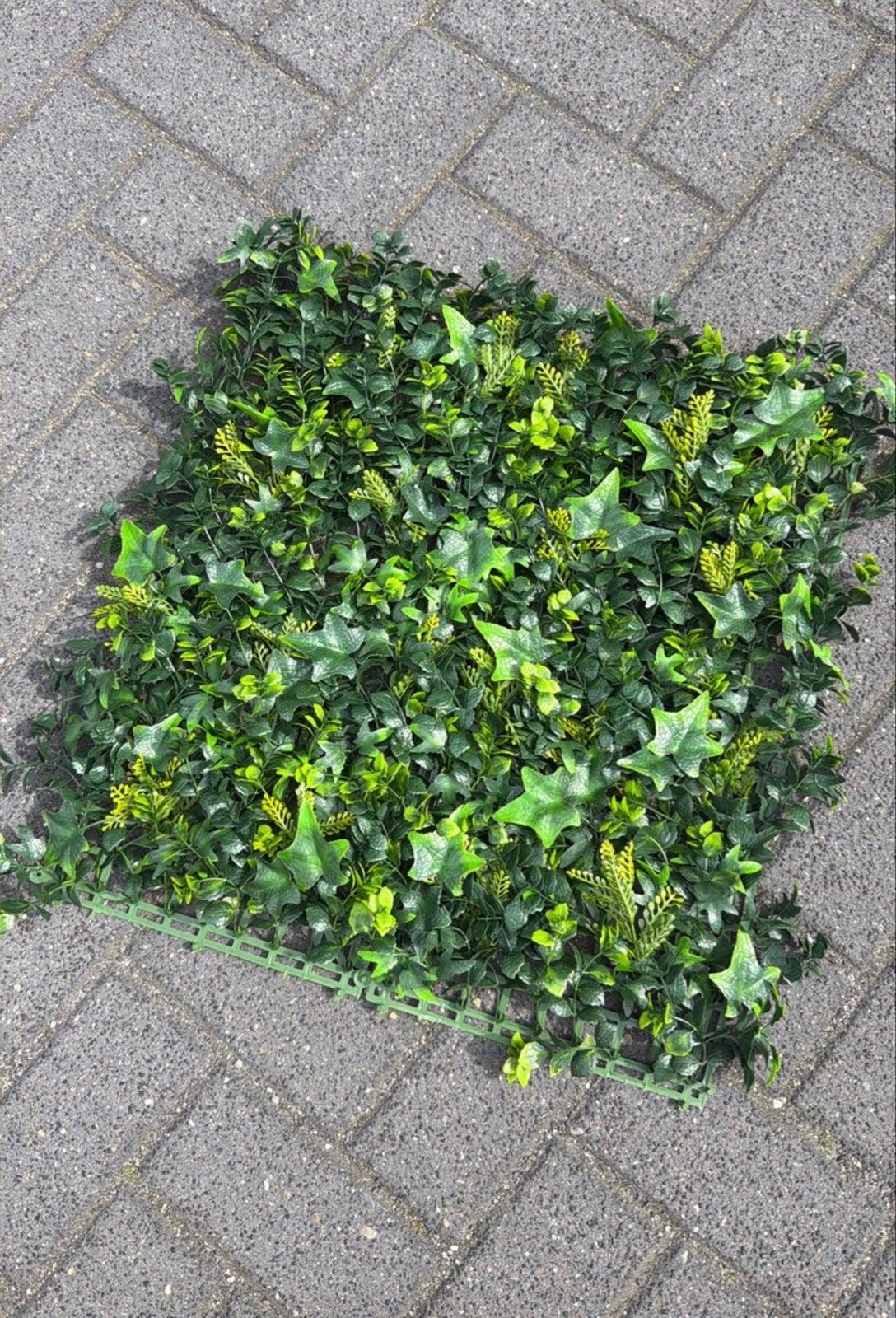 Kunsthaag Hedra 50x50 cm (per doos van 12 stuks), Ophalen of Verzenden, Overige soorten, Haag