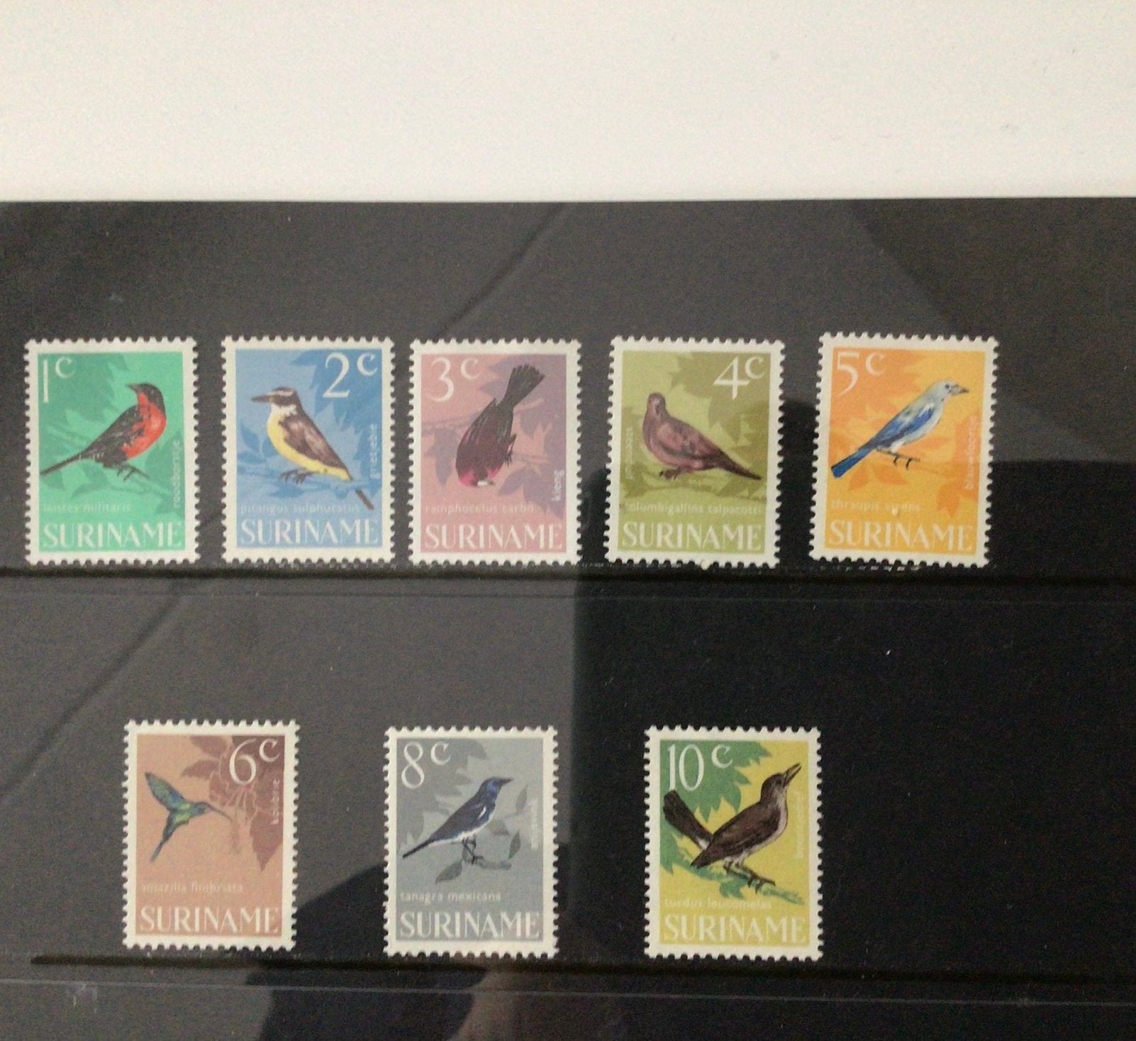Te koop vogels Suriname uit 1966 postfris, Ophalen of Verzenden