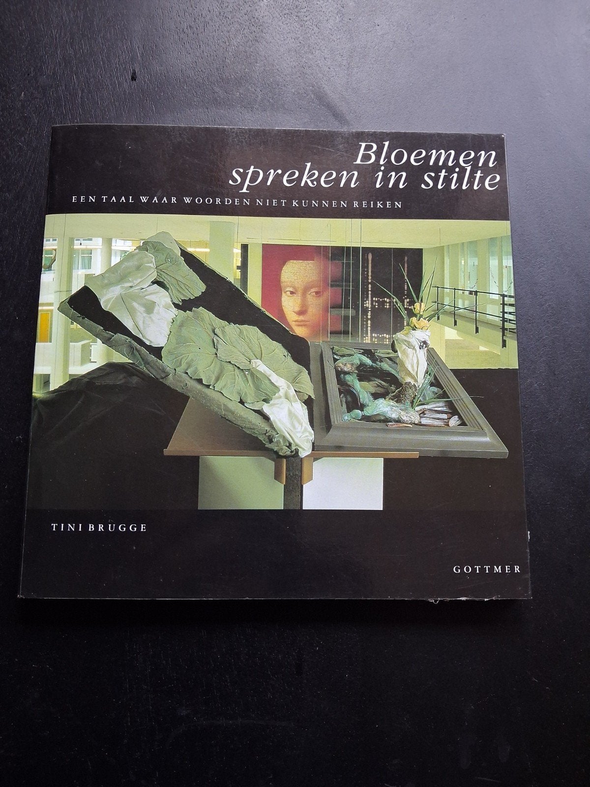Bloemen spreken in stilte - Tini Brugge (Gottmer), Ophalen of Verzenden, Zo goed als nieuw, Overige onderwerpen, Tini Brugge
