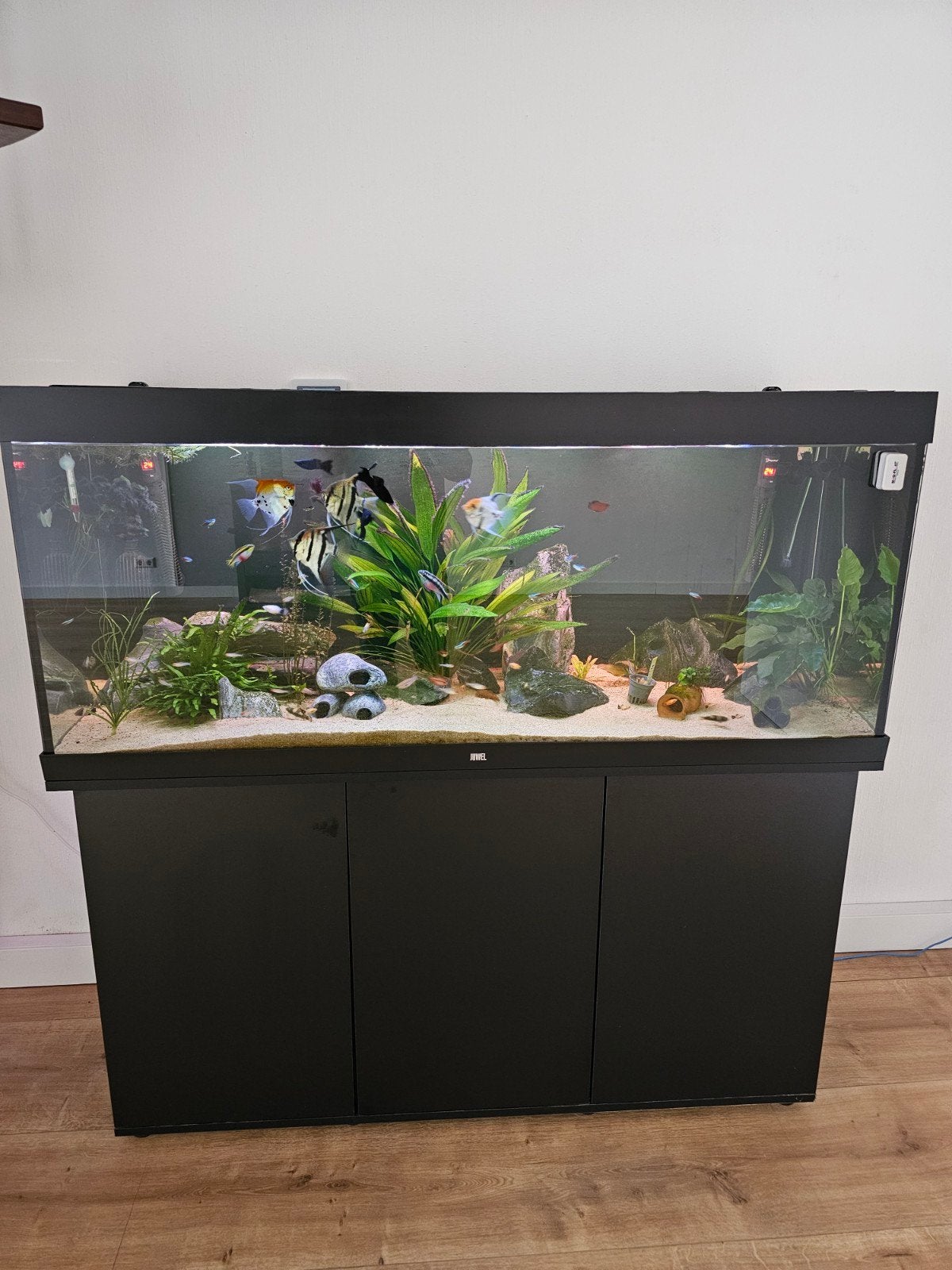 aquarium 450 liter, Dieren en Toebehoren, Ophalen, Zo goed als nieuw, Leeg aquarium