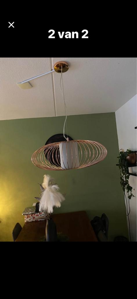 Rose hanglamp, Ophalen of Verzenden, Zo goed als nieuw, Minder dan 50 cm