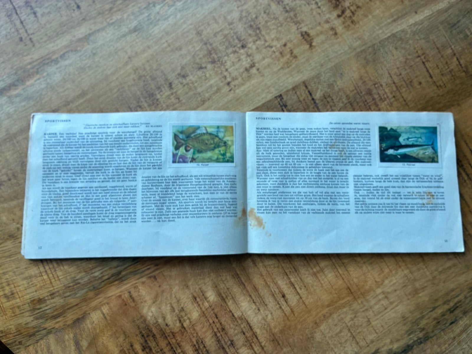 Vintage Rizla Visgids: Zo moet je vissen! (1950s), Ophalen of Verzenden, Gelezen, Watersport en Hengelsport