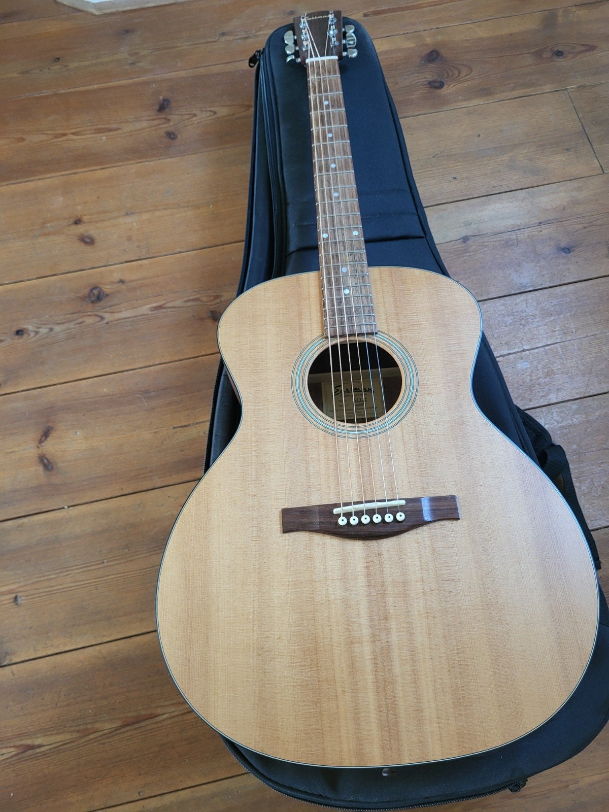 Eastman AC-122 inclusief gitaarhoes, Ophalen, Gebruikt, Western- of Steelstringgitaar