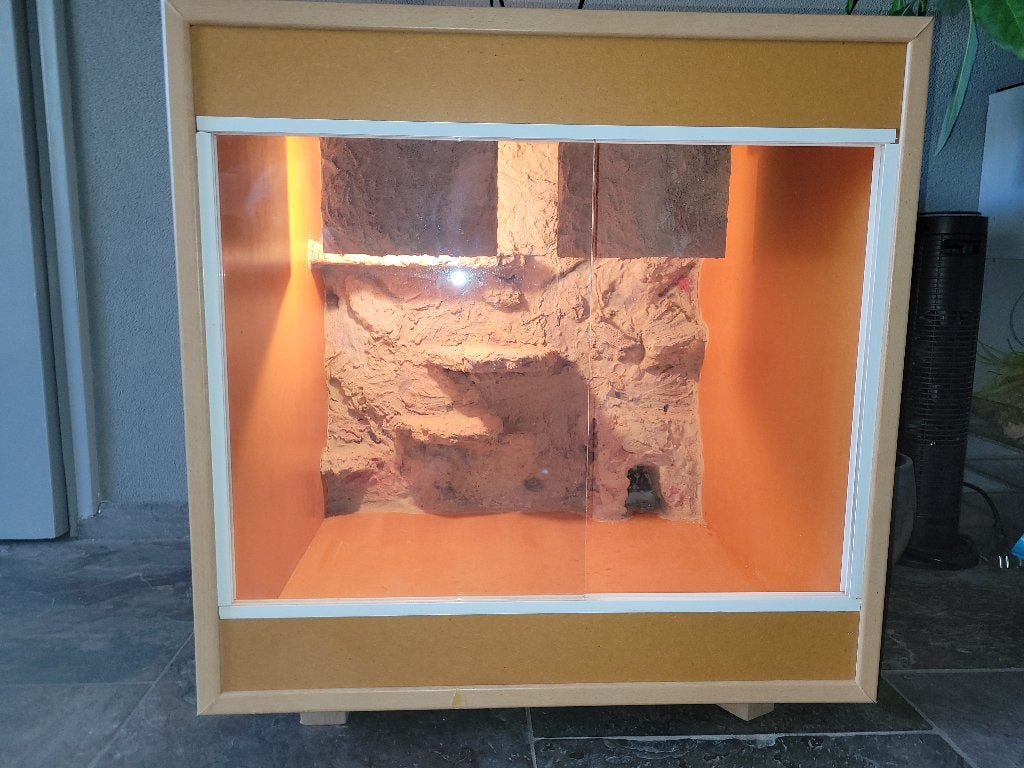 Terrarium, Ophalen, Gebruikt, Terrarium of Paludarium