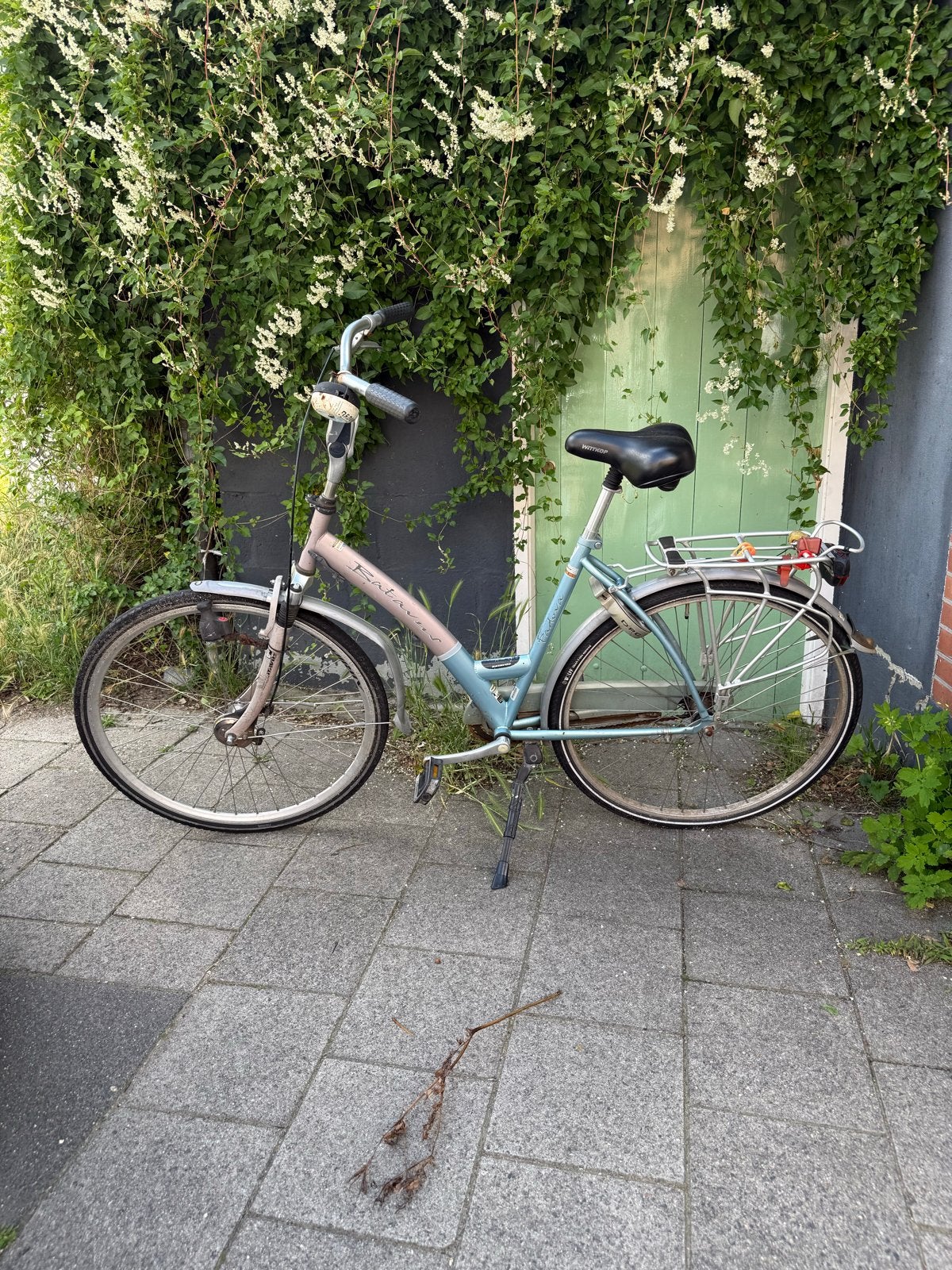 Batavus Damesfiets - Voor onderdelen (ketting en remmen defe, Fietsen en Brommers, 50 tot 53 cm, Ophalen, Gebruikt, Batavus