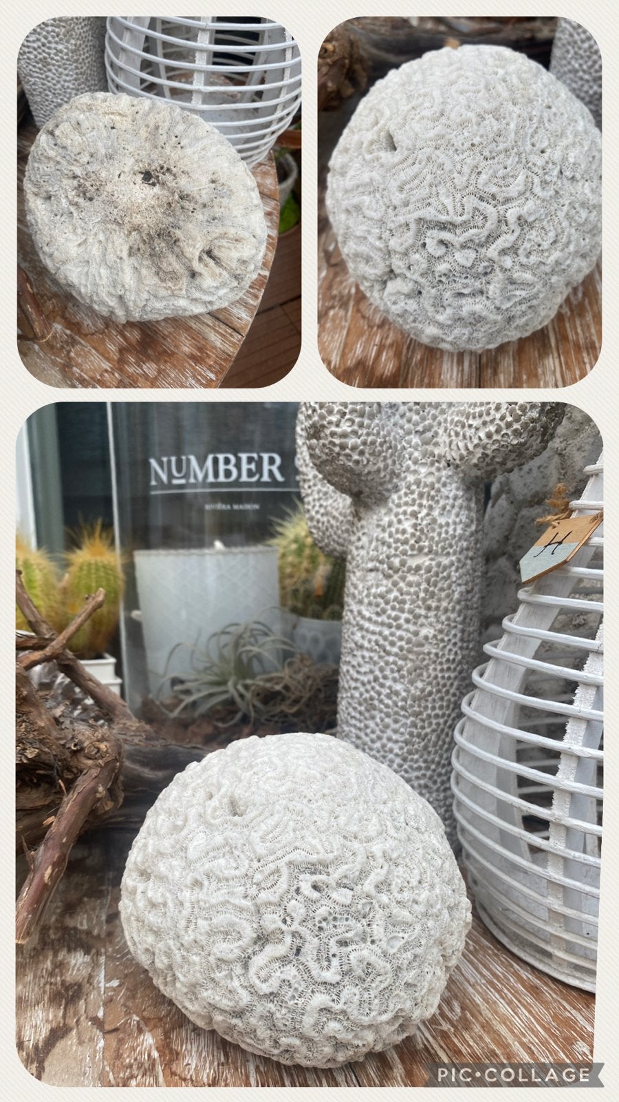 Decoratieve Hersenkoraal Steen - Uniek Woonaccessoire, Gebruikt, Ophalen of Verzenden, Natuurlijk materiaal, Modern