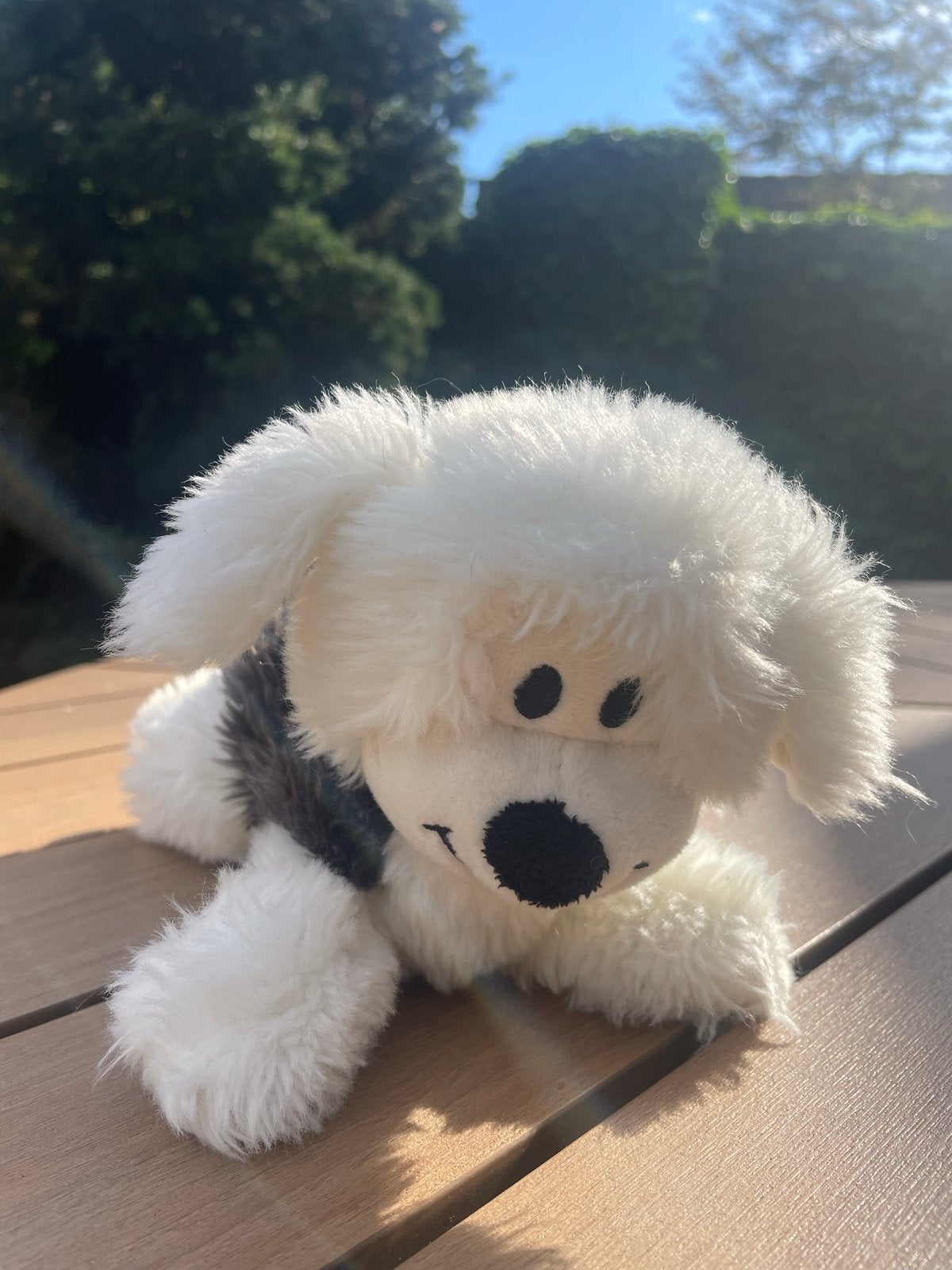 Samson  pluche hond - Zwart/Wit - 20 cm, Zo goed als nieuw, Klein (minder dan 20 cm), Wit, Hond