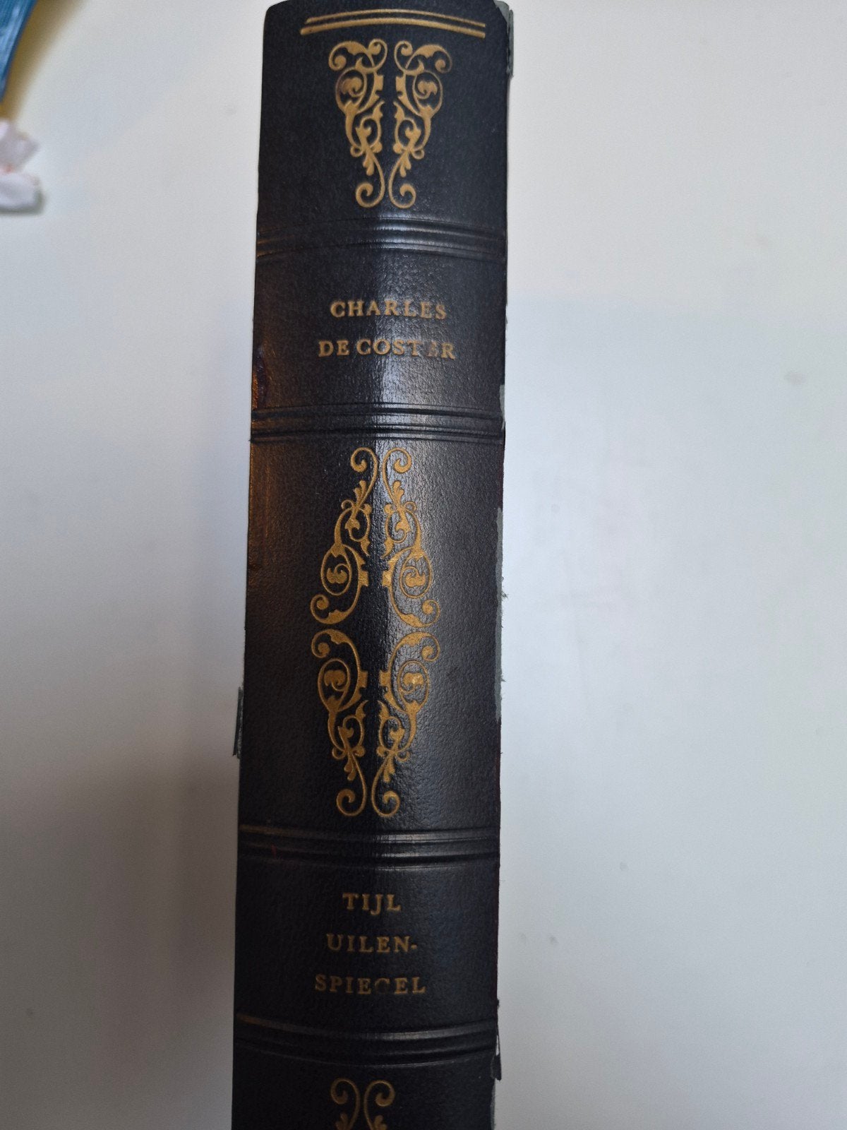 Tijl Uilenspiegel - Charles de Coster (De Boekenschat), Ophalen of Verzenden, Gelezen, Charles de Coster, Nederland