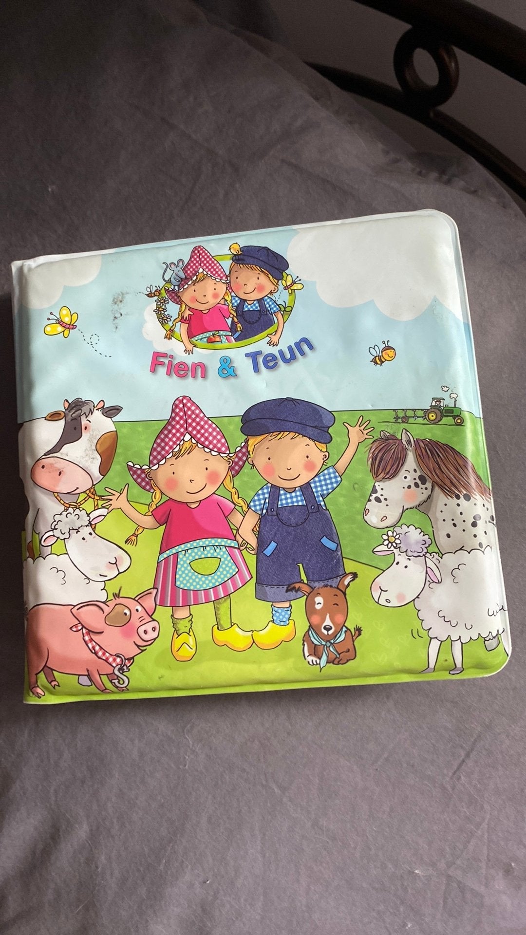 Fien en teun badboekje, Boeken, Ophalen of Verzenden, Zo goed als nieuw