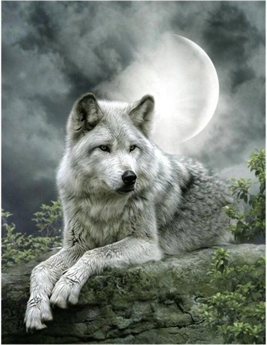 Nieuwe diamond painting set wolf met volle maan., Ophalen of Verzenden, Nieuw, Dieren, Diamond painting