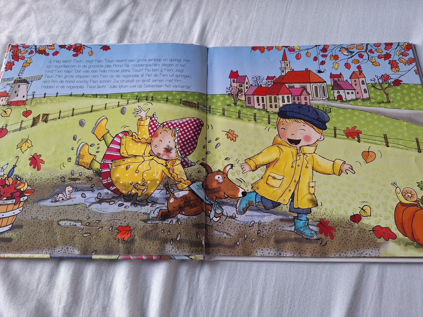 Fien & Teun en de vogeltjesverjaardag - Kinderboek, Ophalen of Verzenden, Zo goed als nieuw, Onbekend, 2 tot 3 jaar
