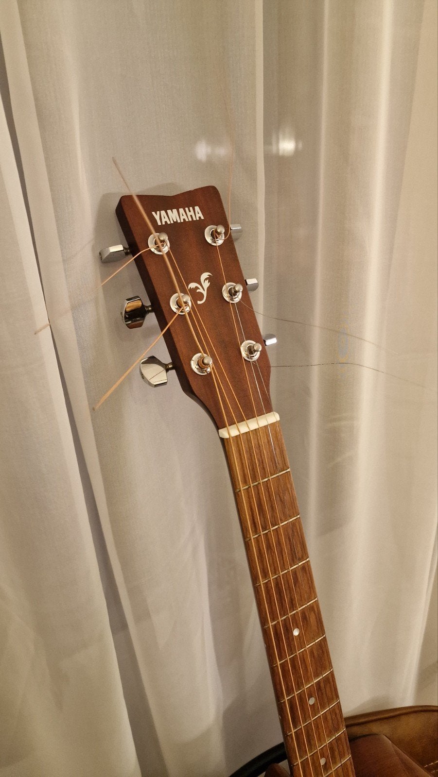 Yamaha F310 Western gitaar, Ophalen, Gebruikt, Western- of Steelstringgitaar