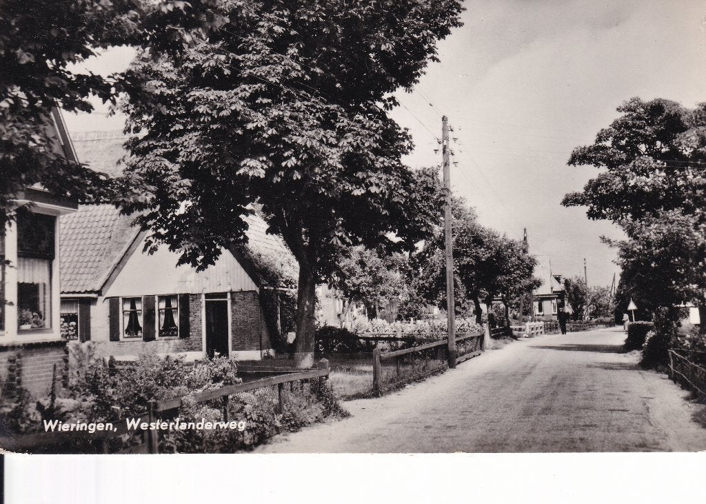Ansichtkaart Westerlanderweg Wieringen, Ophalen of Verzenden, 1940 tot 1960, Ongelopen, Noord-Holland