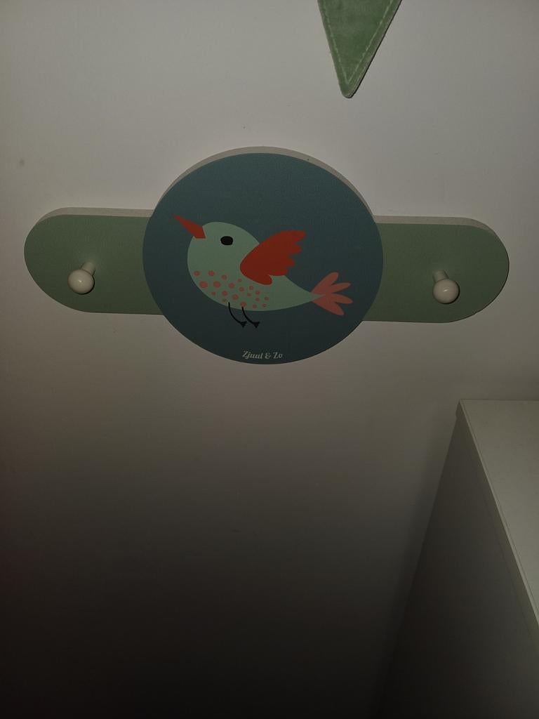 Groene kapstok Zjuul en Zo met vogel, Wandkapstok, Gebruikt, Ophalen of Verzenden, Minder dan 100 cm