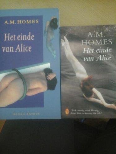 a.m. homes- het einde van alice, Ophalen of Verzenden, Zo goed als nieuw