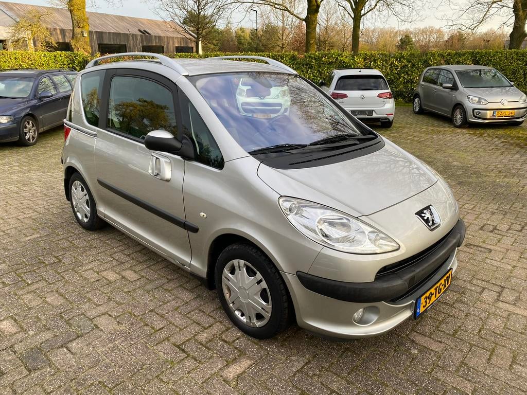 Peugeot 1007 1.4 2006 Grijs, Voorwielaandrijving, 15 km/l, 1360 cc, 4 cilinders
