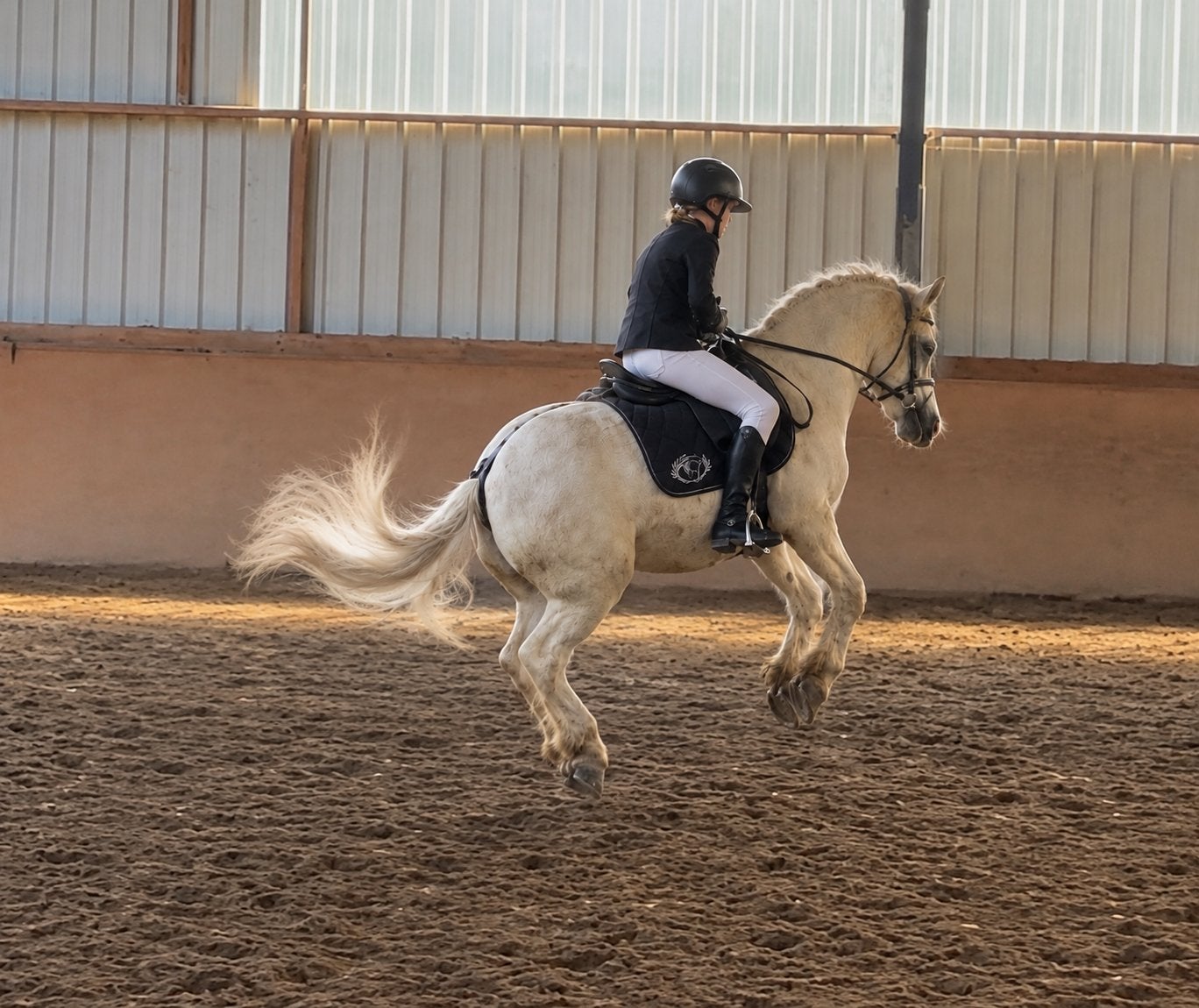Hoi, verzorg pony waar rijdt pony gezocht?, Ophalen of Verzenden