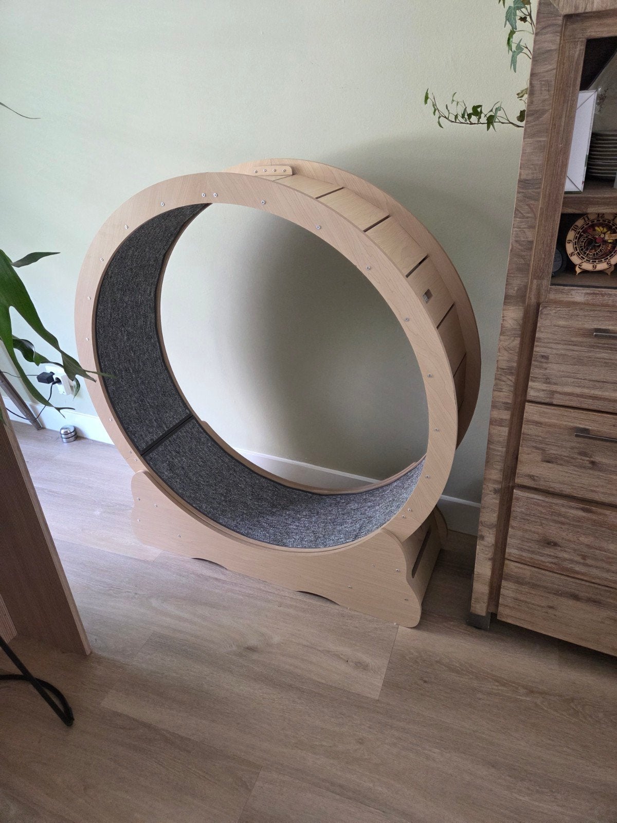 Kattenwiel, cat wheel, voor grote katten zoals ragdolls, Ophalen
