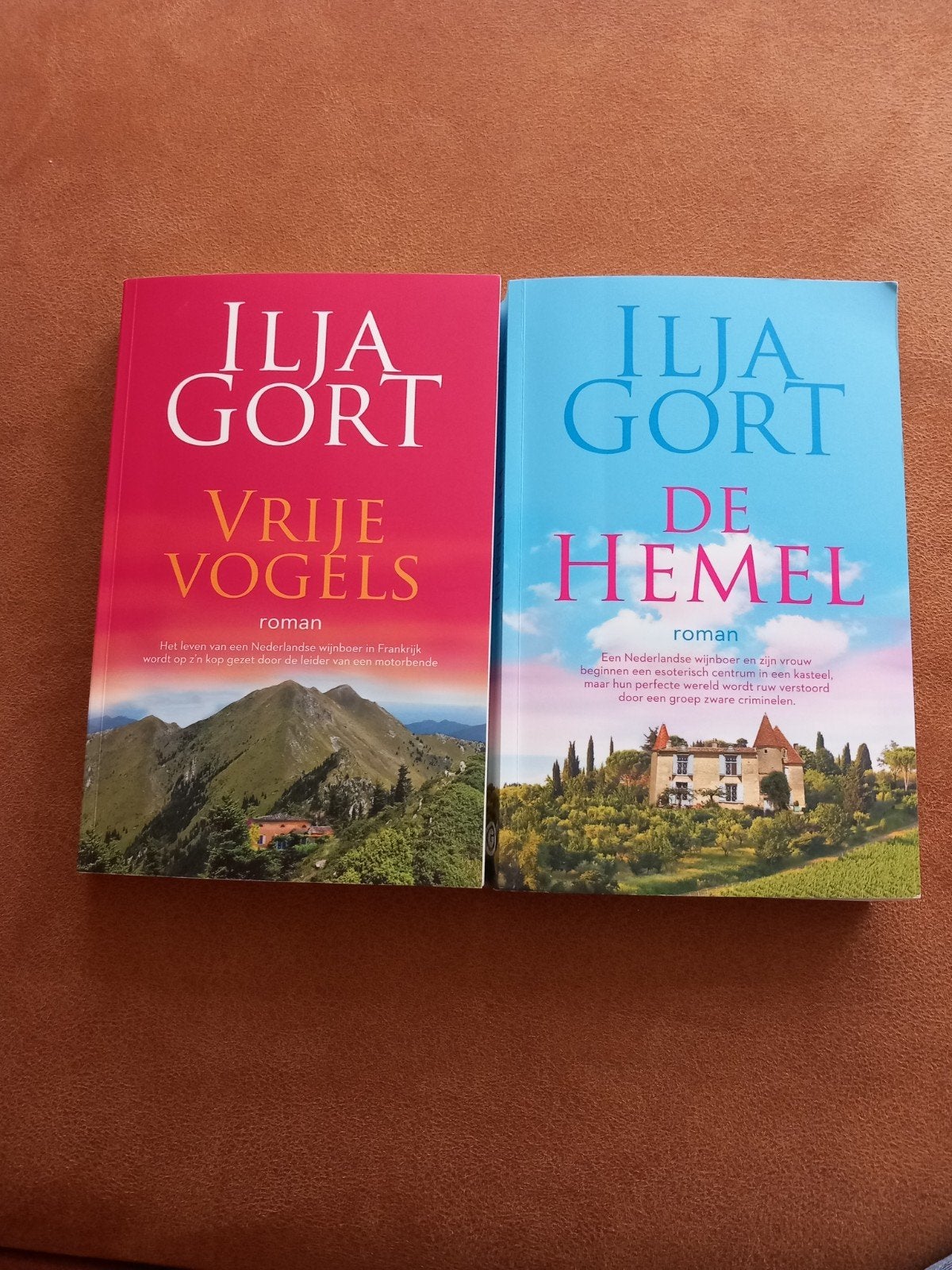 Ilja Gort, De Hemel en Vrije Vogels, Ophalen of Verzenden, Zo goed als nieuw