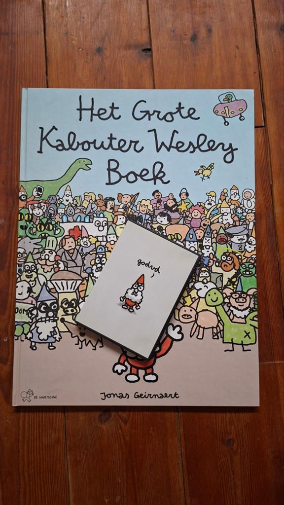 J. Geirnaert - Het grote Kabouter Wesley boek incl. DVD, Boeken, Eén stripboek, Ophalen of Verzenden, Zo goed als nieuw, J. Geirnaert