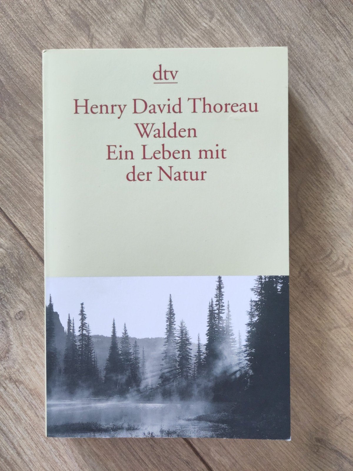 Thoreau - Walden Ein Leben mit der Natur, Boeken, Ophalen, Gelezen
