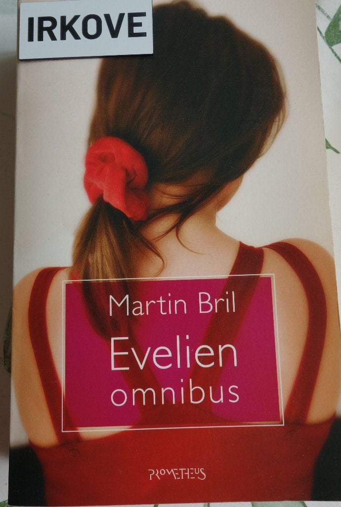 EVELIEN OMNIBUS * Martin Bril *, Boeken, Verzenden, Zo goed als nieuw, Martin Bril, Nederland