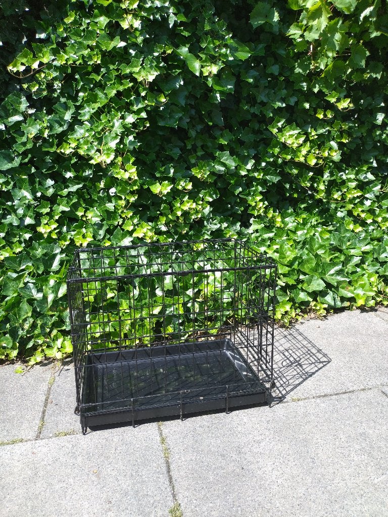 honden poezen dieren bench x2, Ophalen, Gebruikt