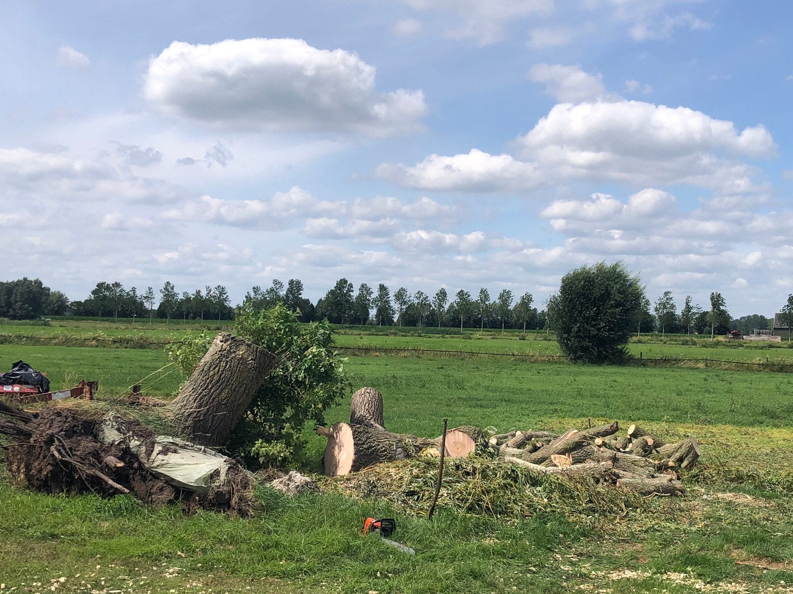 Brandhout stammen, Minder dan 3 m³, Ophalen